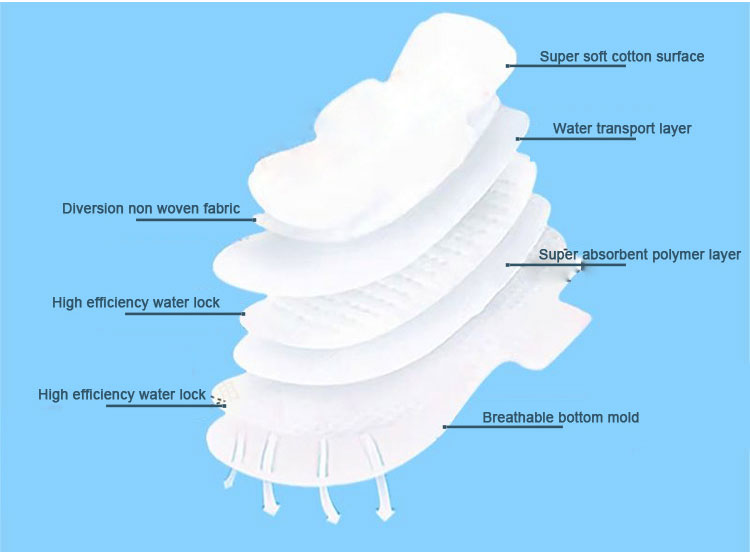 Sanitary Napkin (6)